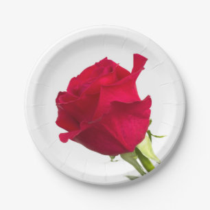 Assiettes En Carton Rose rouge