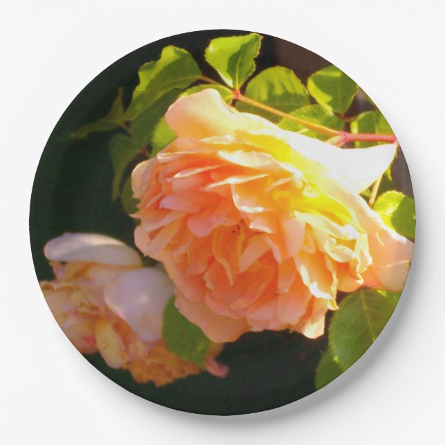 Assiettes En Carton Roses jaunes de Pêche du pays (Devant)