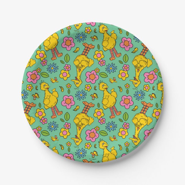 Assiettes En Carton Rue Sésame | Big Bird & Little Bird Motif (Devant)