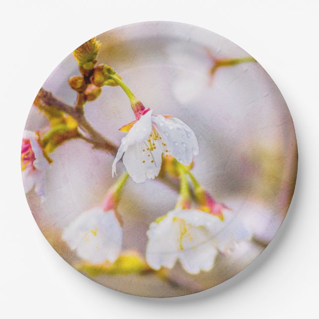 Assiettes En Carton Sakura - Fleur de cerisier japonaise (Devant)