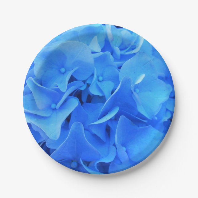 Assiettes En Carton Séraphine (Devant)