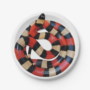 Assiettes En Carton Serpent de lait