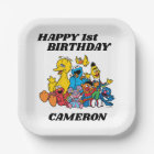 Sesame Street Pals 1er anniversaire