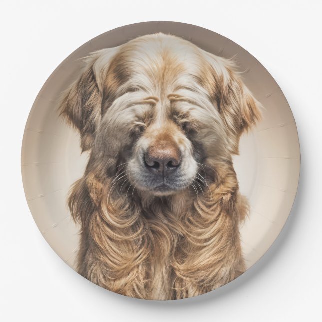 Assiettes En Carton Shy Golden Retriever (Devant)
