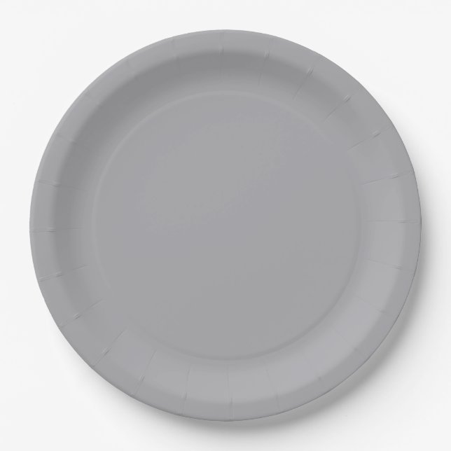 Assiettes En Carton Silver Gray (Devant)