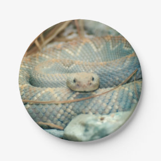 Assiettes En Carton Snake