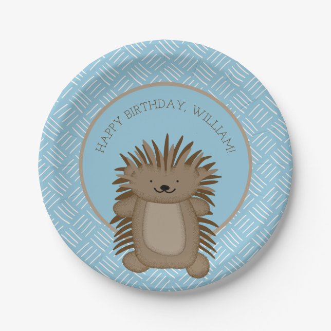 Assiettes En Carton Soirée Anniversaire de enfant de Porcupine (Devant)