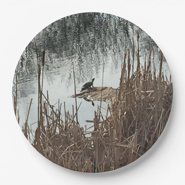 Assiettes En Carton Solstice d'hiver (Devant)