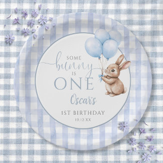 Assiettes En Carton Some Bunny Is One Blue Balloons 1st Birthday