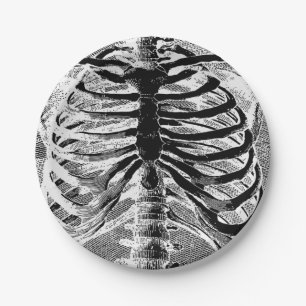 Assiettes En Carton Squelette Vintage Os Torse Corps Halloween