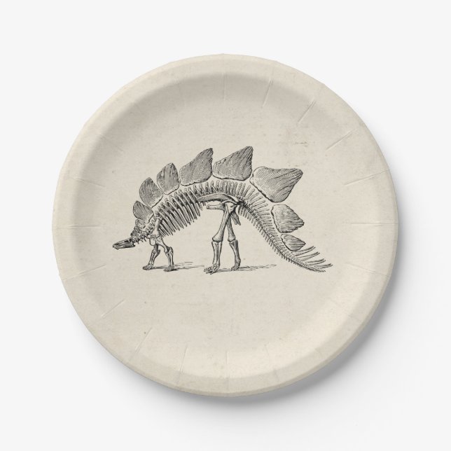 Assiettes En Carton Stegosaurus Dinosaure Squelette Fossile (Devant)