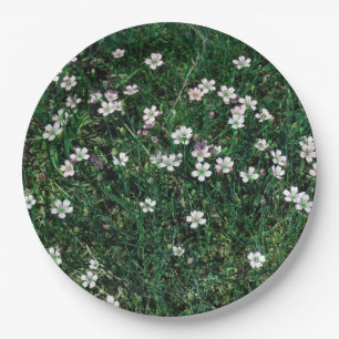 Assiettes En Carton Summer Meadow Petits Fleurs sauvages blancs et ros