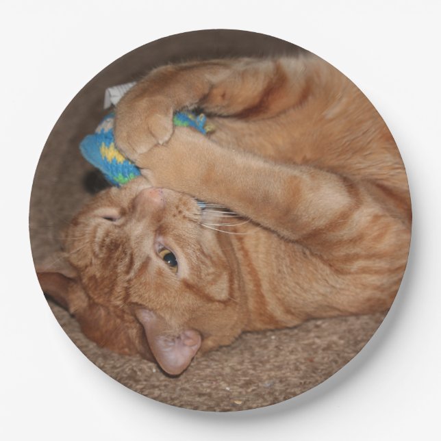 Assiettes En Carton Tater (Devant)