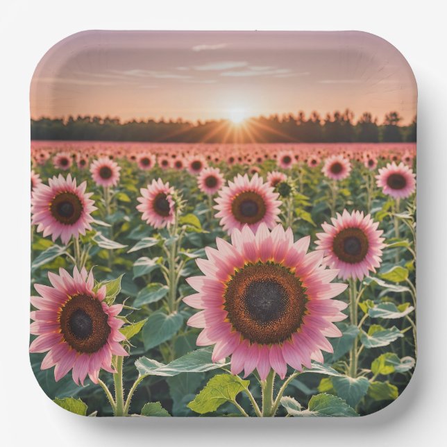 Assiettes En Carton Terrain rose (Recto)