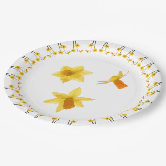 Assiettes En Carton Tête