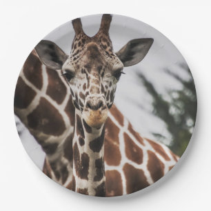 Assiettes En Carton Tête de girafe Tirage de fourrure de girafe Animal