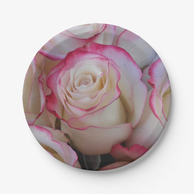 Assiettes En Carton Thamar (Devant)