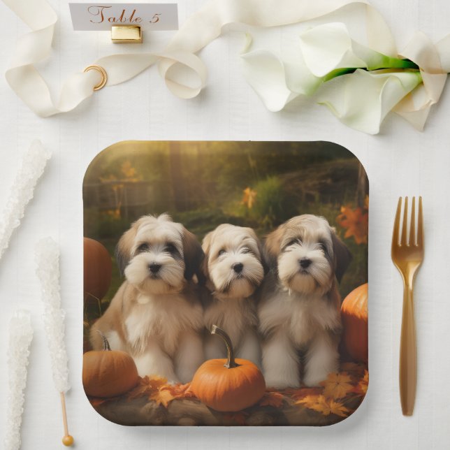 Assiettes En Carton Tibétain Terrier Chiot Automne Citrouille délice (Mariage)
