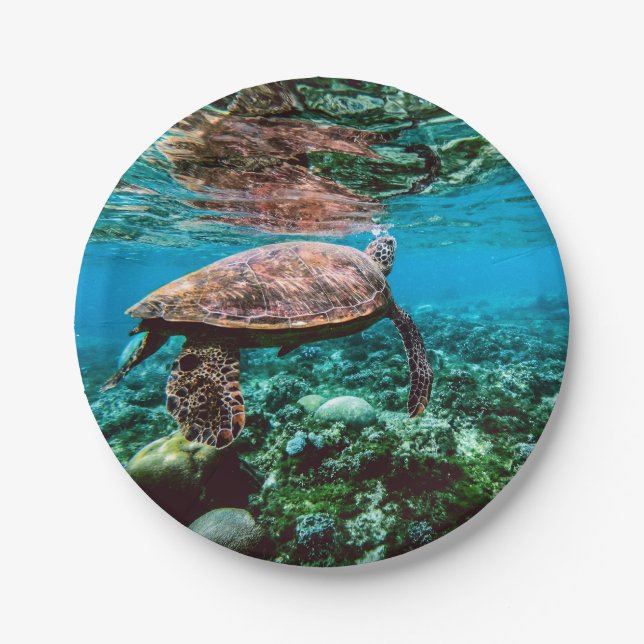 Assiettes En Carton Tortue de mer tropicale sous-marine (Devant)