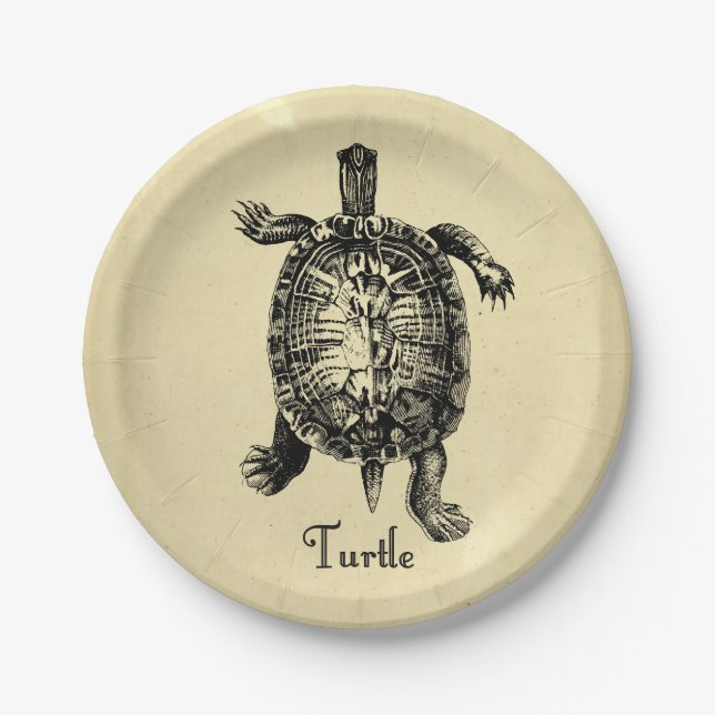 Assiettes En Carton TORTUE vintage (Devant)