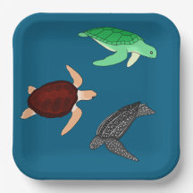 Tortues marines