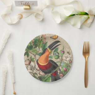 Assiettes En Carton Toucan Jungle Tropical Bird Belle antique