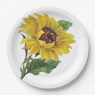 Assiettes En Carton Tournesol