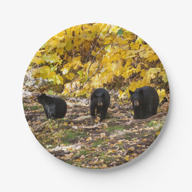 Assiettes En Carton Trois ours (Devant)