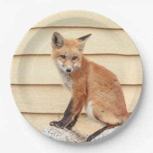 Assiettes En Carton Trousse Red Fox dans la vallée de l'Hudson