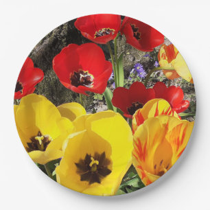 Assiettes En Carton Tulipes jaunes et rouges