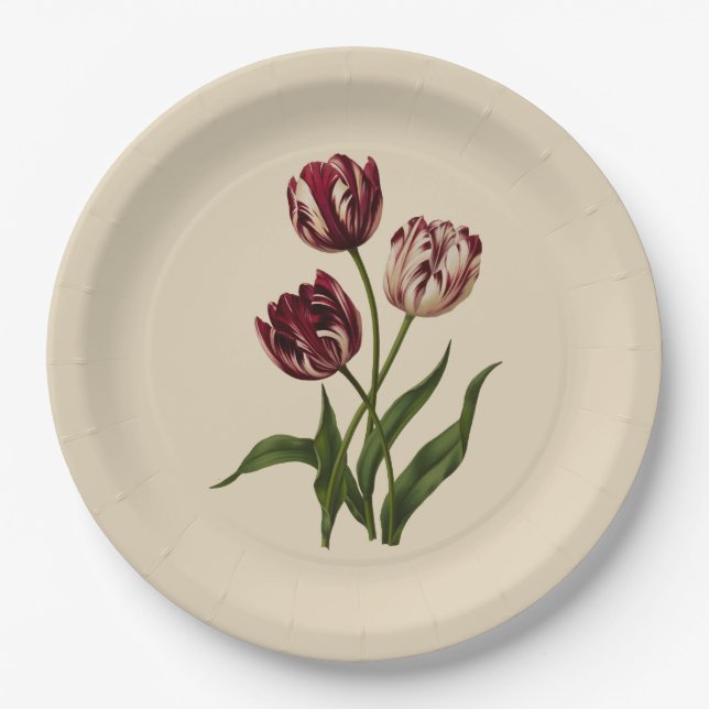 Assiettes En Carton Tulipes vintages (Devant)