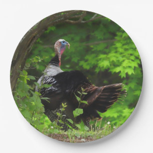 Assiettes En Carton Turquie sauvage mâle mature - Thanksgiving
