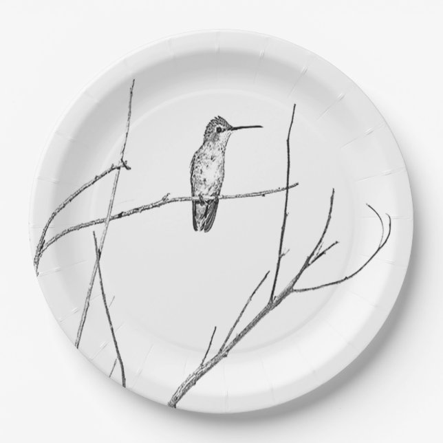 Assiettes En Carton Un colibri sur un bâton (Devant)