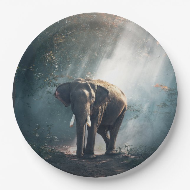 Assiettes En Carton Un éléphant asiatique dans un défrichement éclairé (Devant)