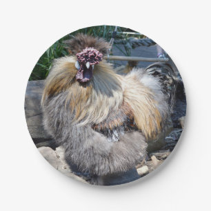 Assiettes En Carton Un Poulet Fluffeux Laide,