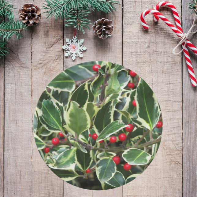 Assiettes En Carton Vacances Holly Feuille et Red Berries (In Situ Holiday)