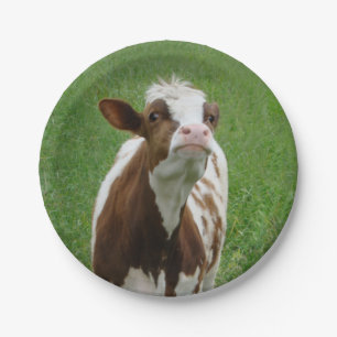 Assiettes En Carton Vache laitière sur la ferme