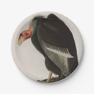 Assiettes En Carton Vautour californien Oiseaux d'Amérique Audubon Im