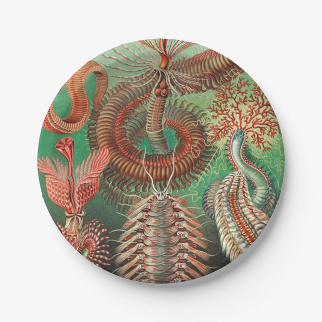 Assiettes En Carton Vers, Annelids Chaetopoda par Ernst Haeckel (Devant)
