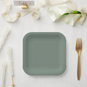 Assiettes En Carton Vert sage