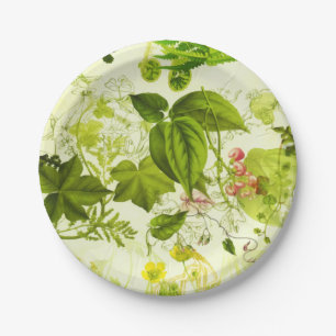 Assiettes En Carton Vert vintage Botanique Fleurs sauvages Aquarelle