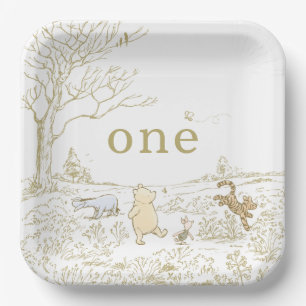 Assiettes En Carton Vintage Pooh 40 acres Bois 1er anniversaire