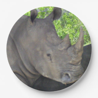 Assiettes En Carton Visage de Rhinocéros