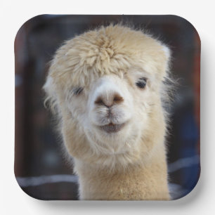 Assiettes En Carton Visage mignon d'alpaca        