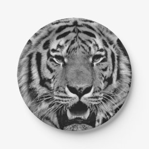 Assiettes En Carton Visage noir et blanc de tigre
