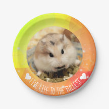 Vivre au maximum - Hammyville Hamsters