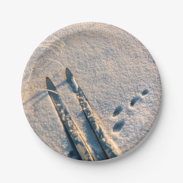 Assiettes En Carton Voie de ski (Devant)