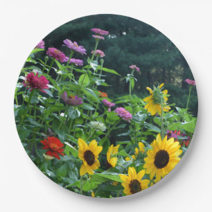 Assiettes En Carton Vue sur jardin - tournesol, marguerites, cosmos