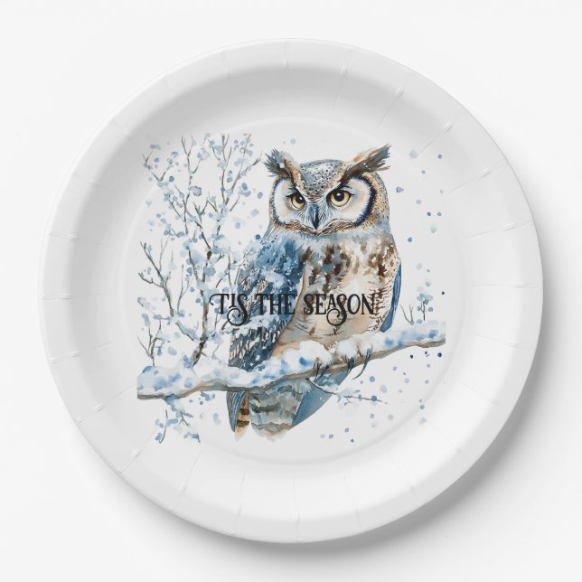 Assiettes En Carton Winter Snowflakes Blue Owl Christmas Snow (Devant)