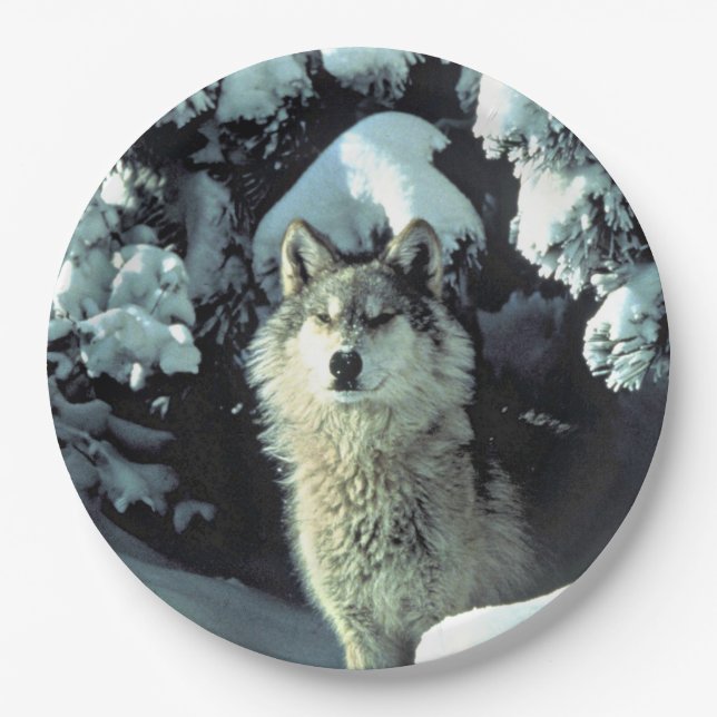 Assiettes En Carton Wolf Dans La Neige (Devant)